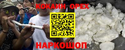 спайс Кингисепп