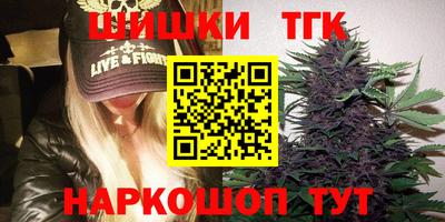 спайс Кингисепп