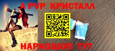 спайс Кингисепп