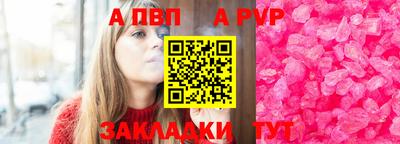 спайс Кингисепп