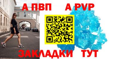 спайс Кингисепп